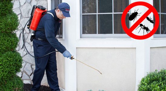 Tirebolu Gümüşkurt İlaçlama böcek ilaçlama ve haşere kontrolü — ilaclama-tr.com